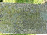 image of grave number 207355